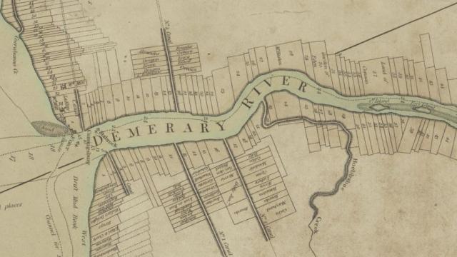 Demerara