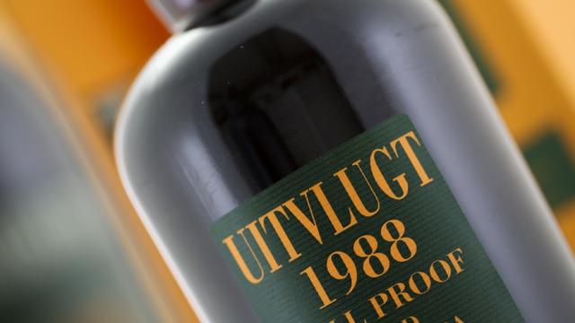 Uitvlugt 1988 Wide